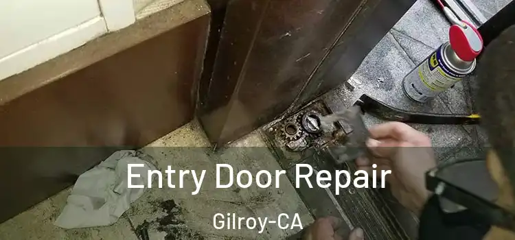  Entry Door Repair Gilroy-CA
