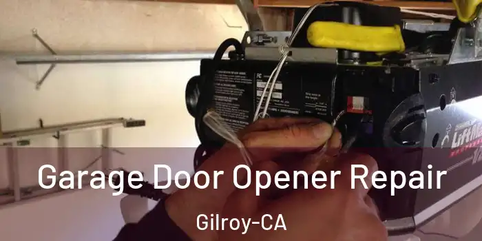  Garage Door Opener Repair Gilroy-CA