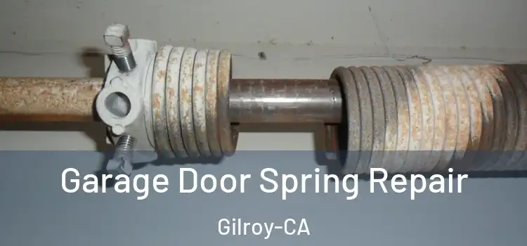  Garage Door Spring Repair Gilroy-CA