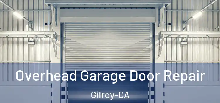  Overhead Garage Door Repair Gilroy-CA