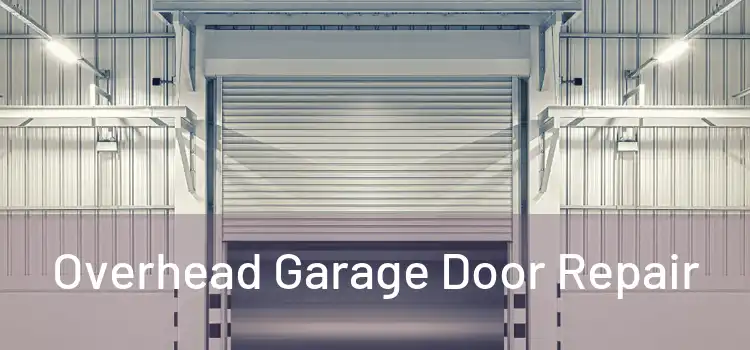  Overhead Garage Door Repair 