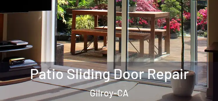  Patio Sliding Door Repair Gilroy-CA